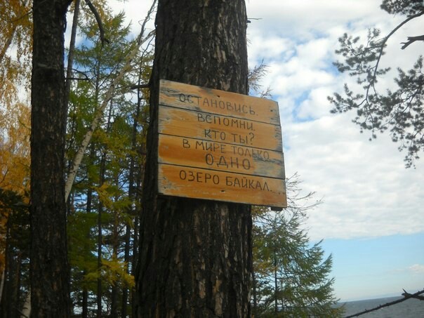 Path to the Big Cats - My, Baikal, Great Baikal Trail, Hike, Longpost