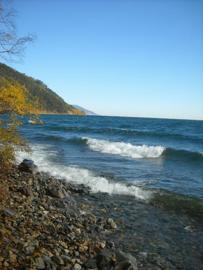 Path to the Big Cats - My, Baikal, Great Baikal Trail, Hike, Longpost