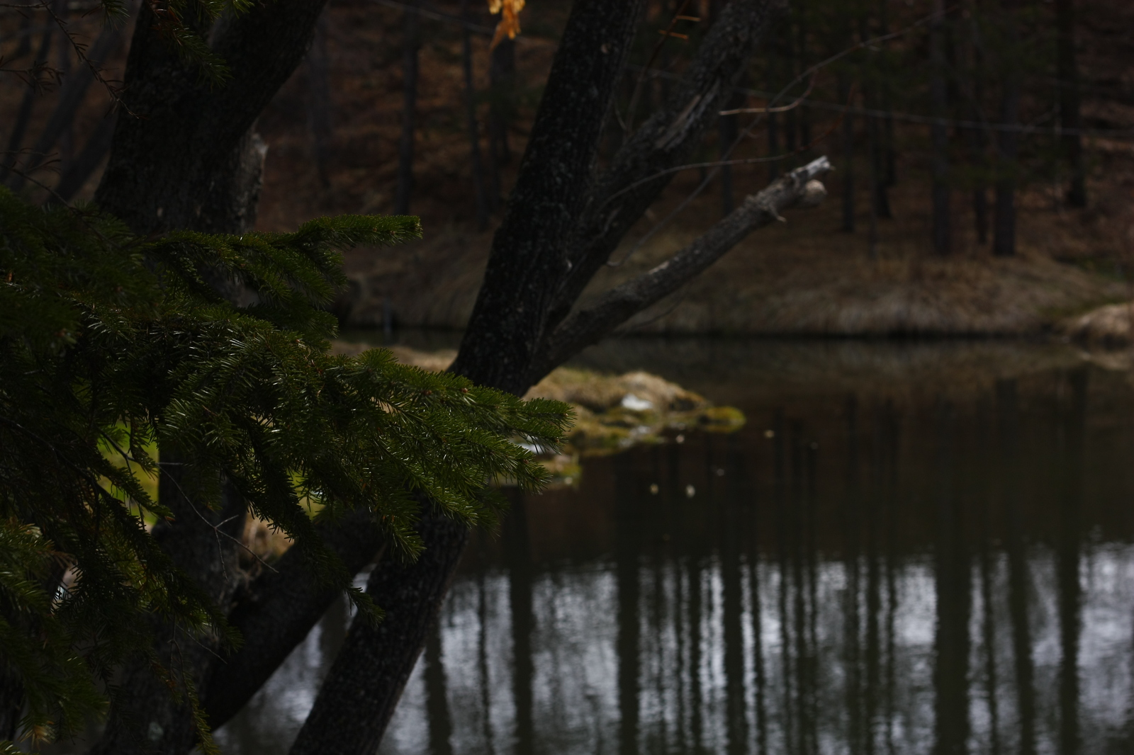 Baikal region at the end of March - My, The photo, Amateur photographer, Baikal, Buryatia, Longpost