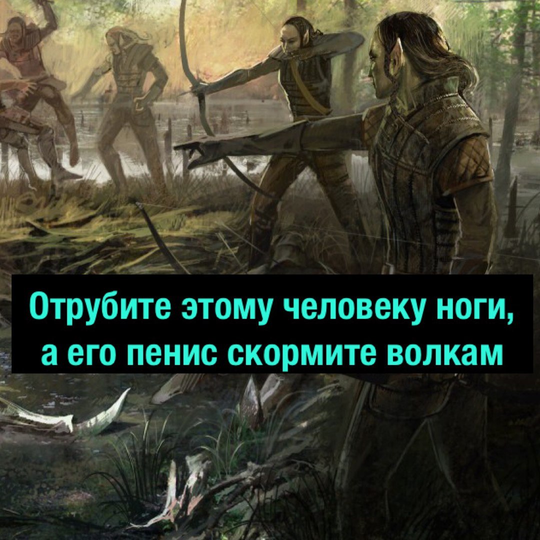 Ни при каких обстоятельствах не сдавайтесь белкам - Ведьмак, Скоятаэли, Мат, Длиннопост