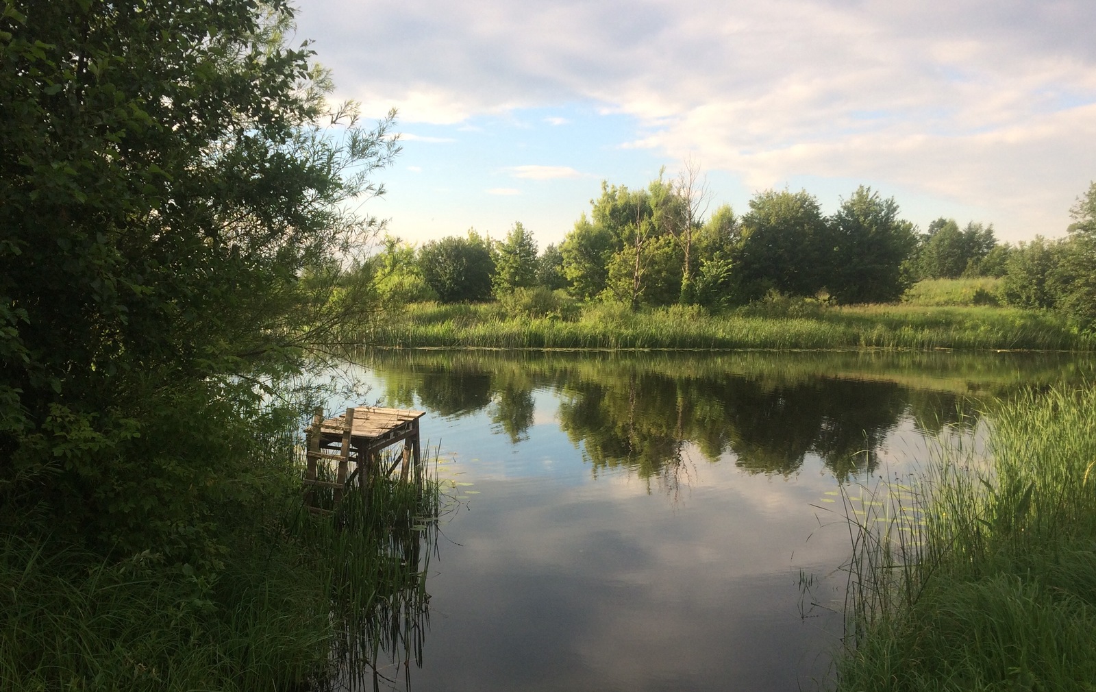 Парусное, Воронежская область - Моё, Река, Воронеж, Вечер, Закат, Фотография, iPhone, Парусное