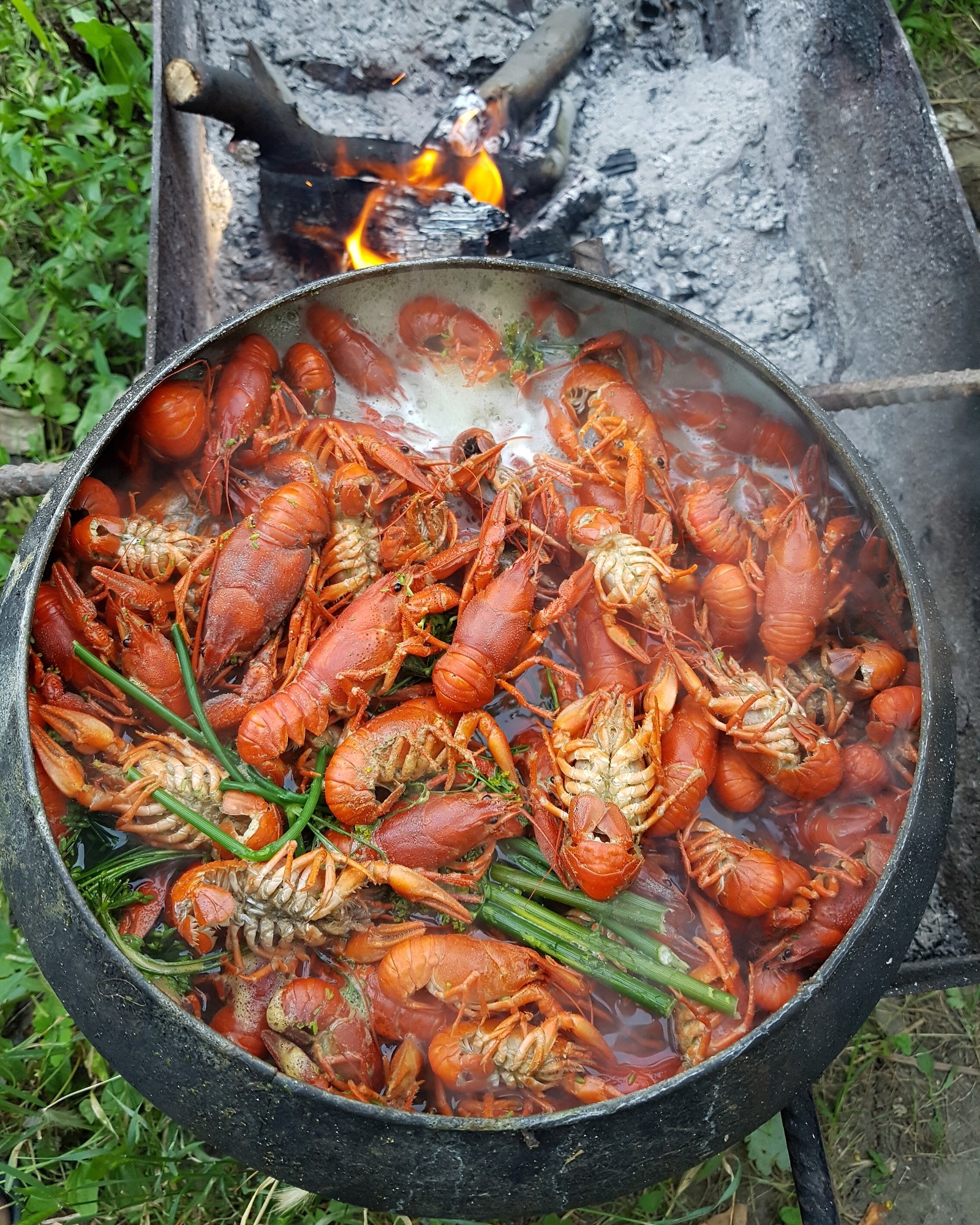 Krasnodar region - My, Crayfish, Crayfish