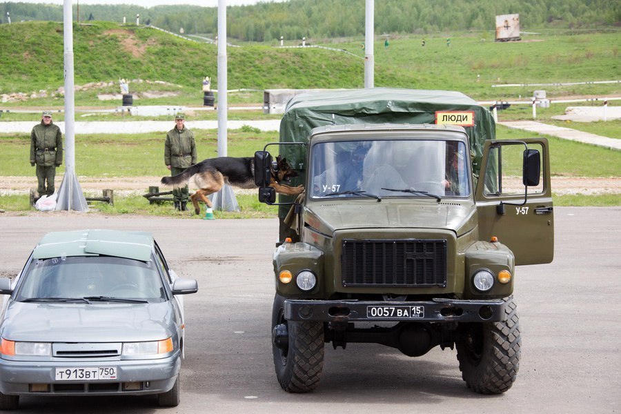 До города довезёшь? - Собака, Машина, Военные