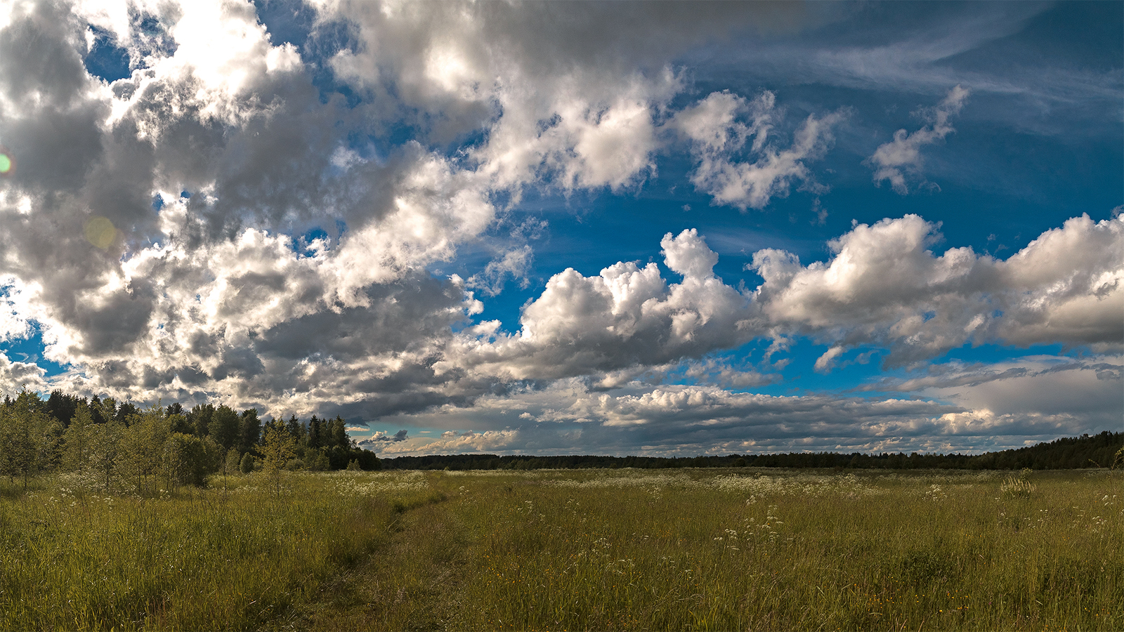 Summer landscape. - My, The photo, Landscape, Clouds, Summer