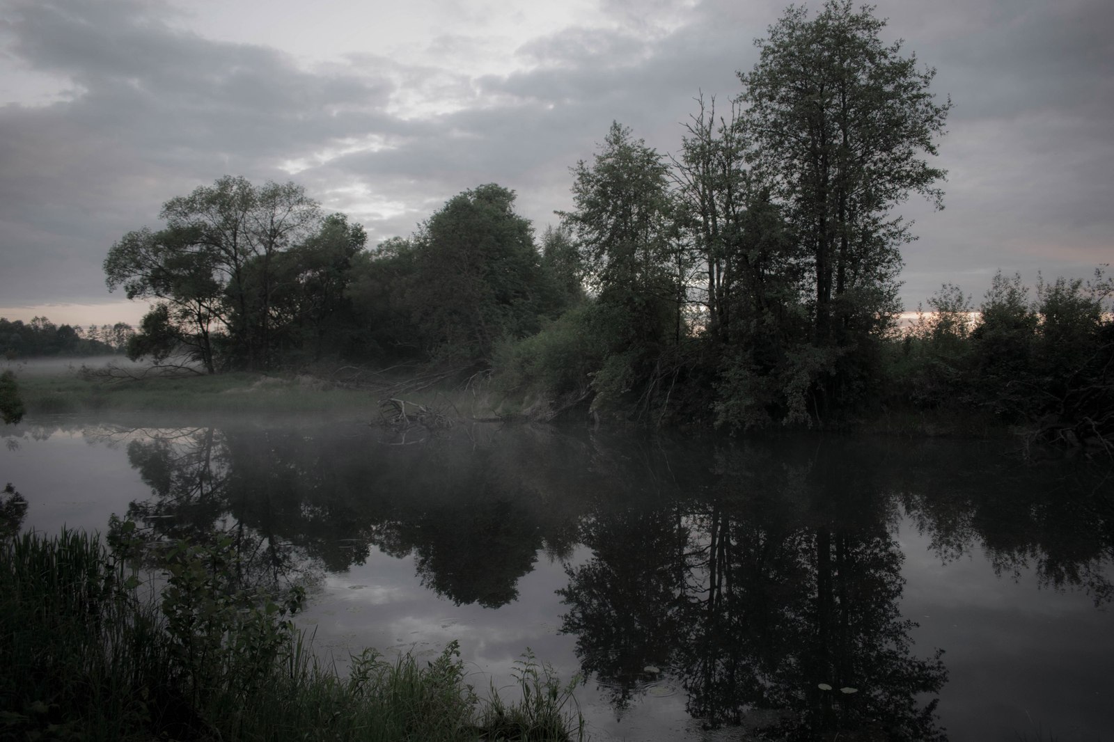 Fog on the lake - My, The photo, Nature, Evening, Fog, Lake, beauty, Longpost