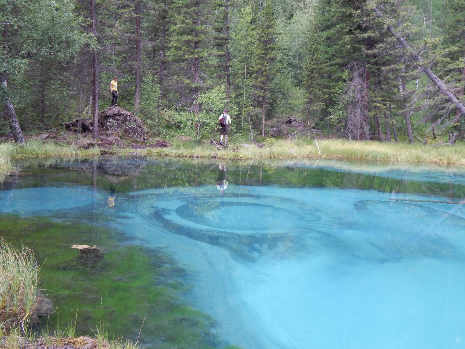 Horseback riding - My, Horseback riding, Mountain Altai, Relaxation, Longpost, Altai Republic