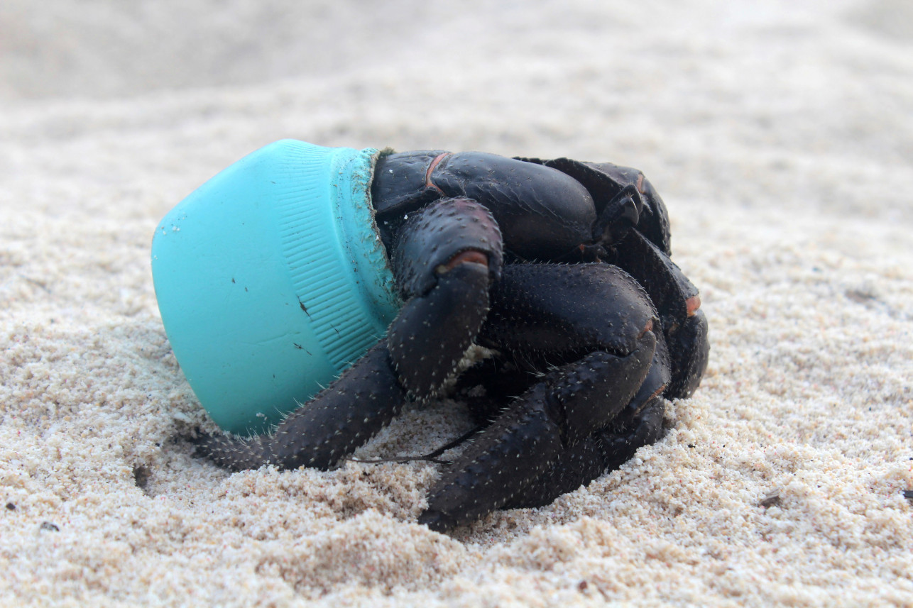 Henderson Island is the dirtiest place in the world - Island, Garbage, Planet, Longpost