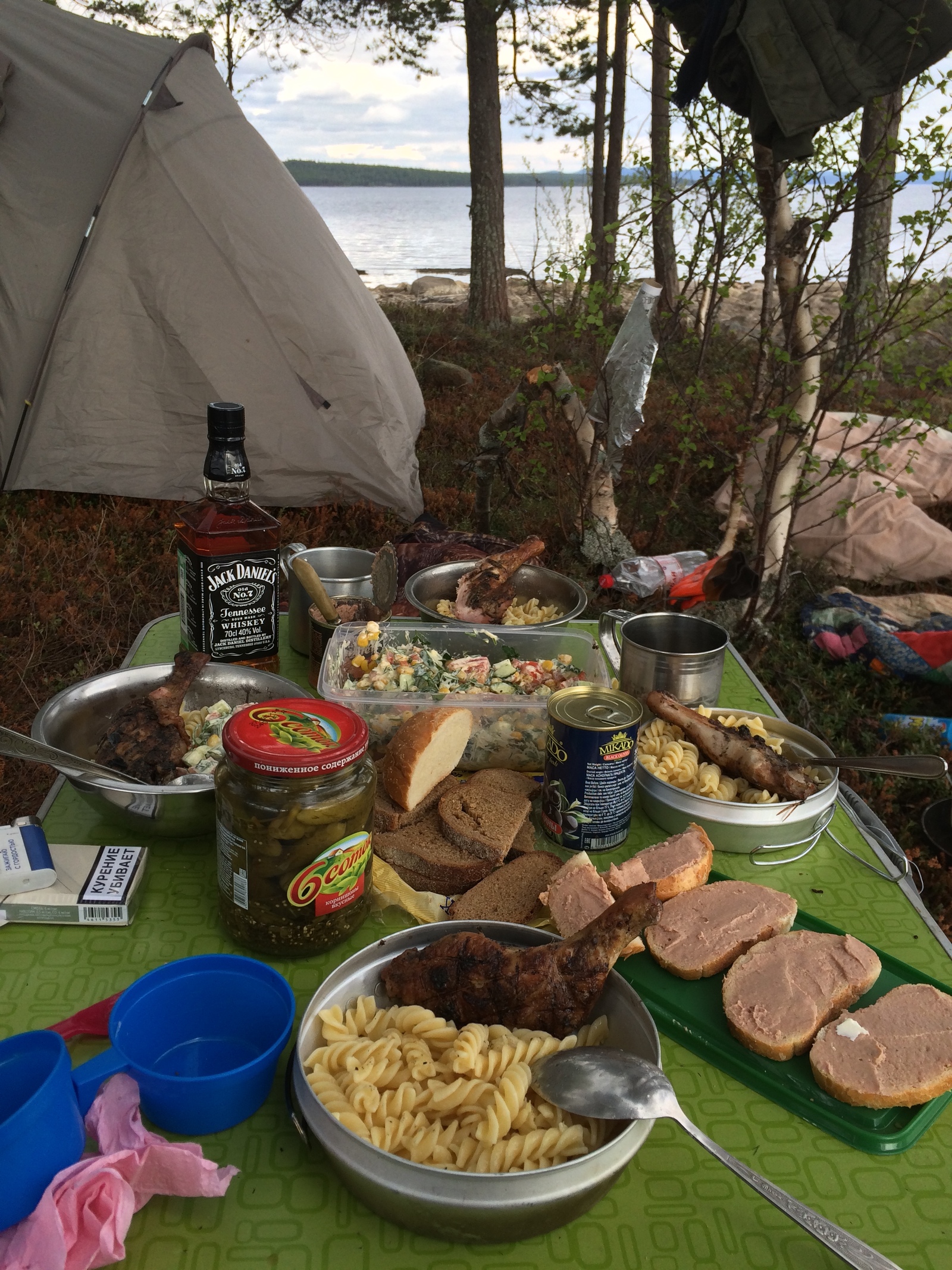 Fishing on the Kola Peninsula - My, Fishing, Kola Peninsula, A fish, Relaxation, Longpost