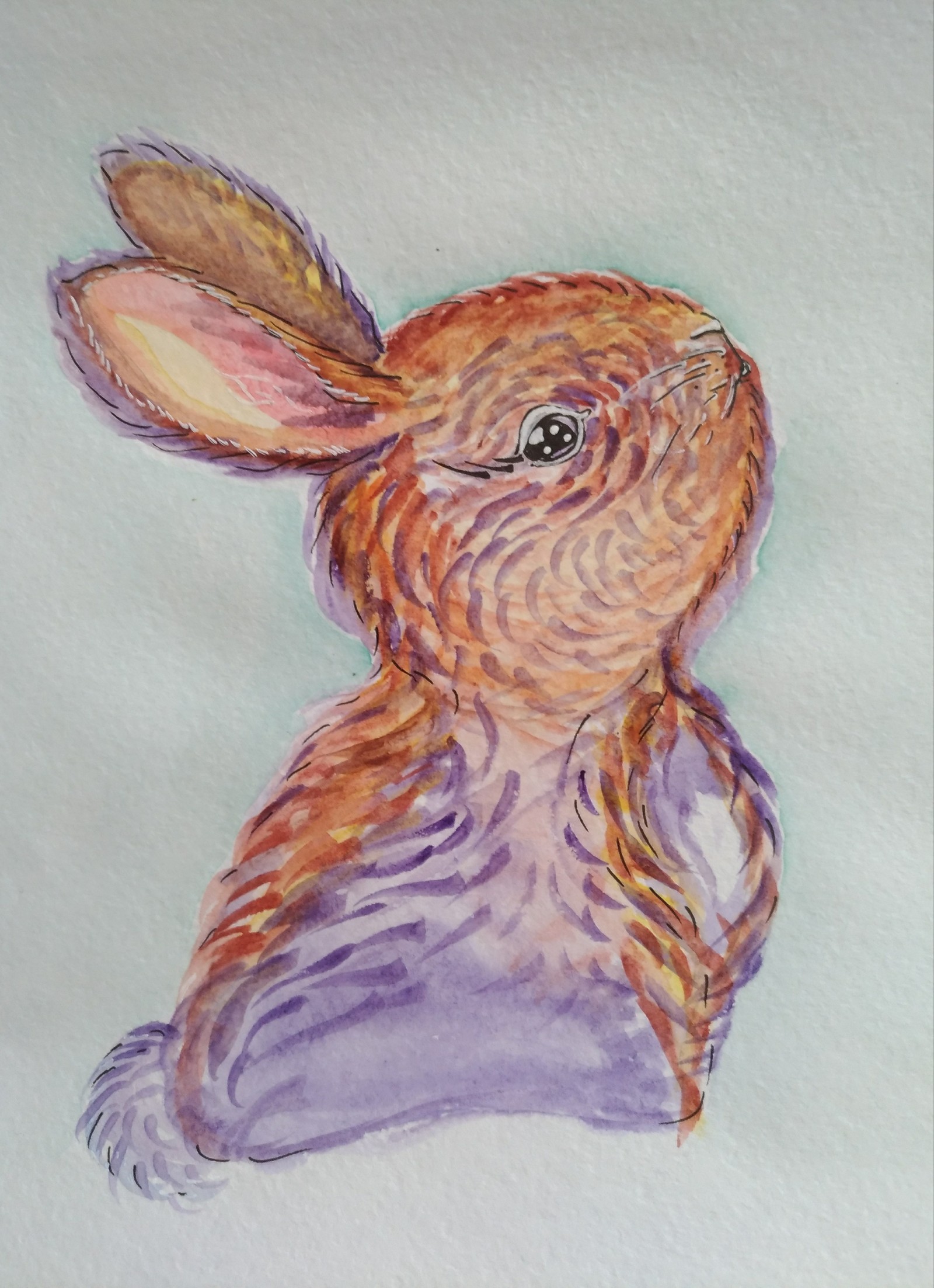 For criticism and advice. - My, Rabbit, Watercolor, Learning to draw, , Критика, Longpost