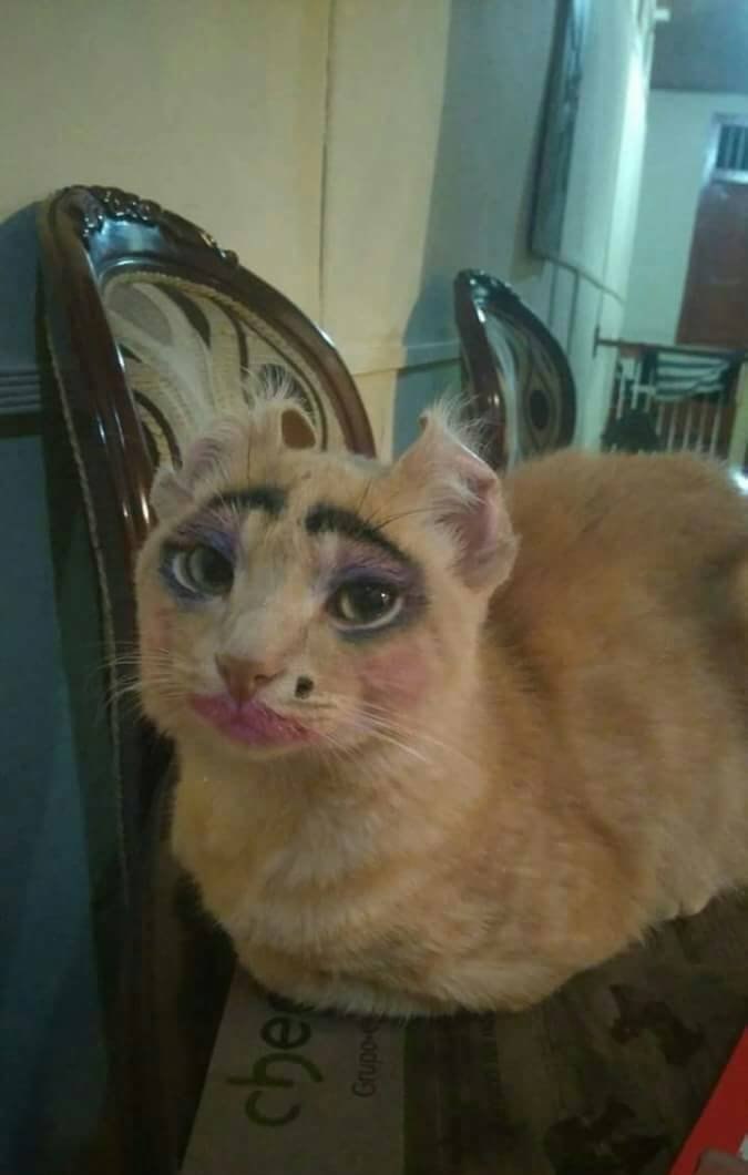 slut - cat, Makeup