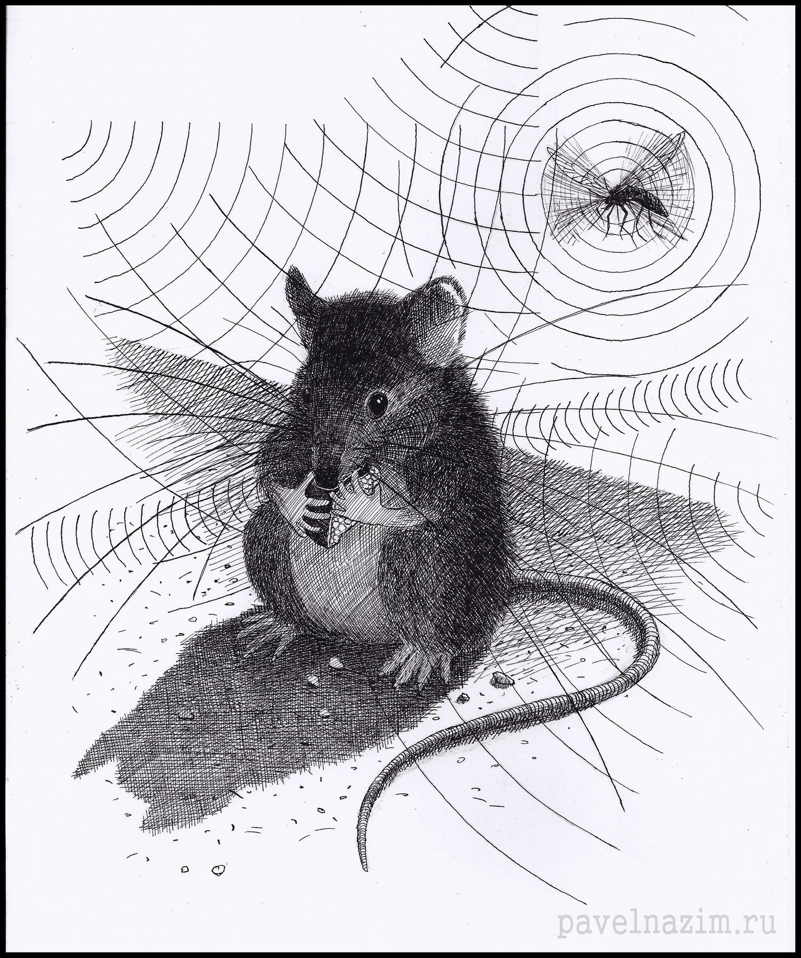 Мышь для графики