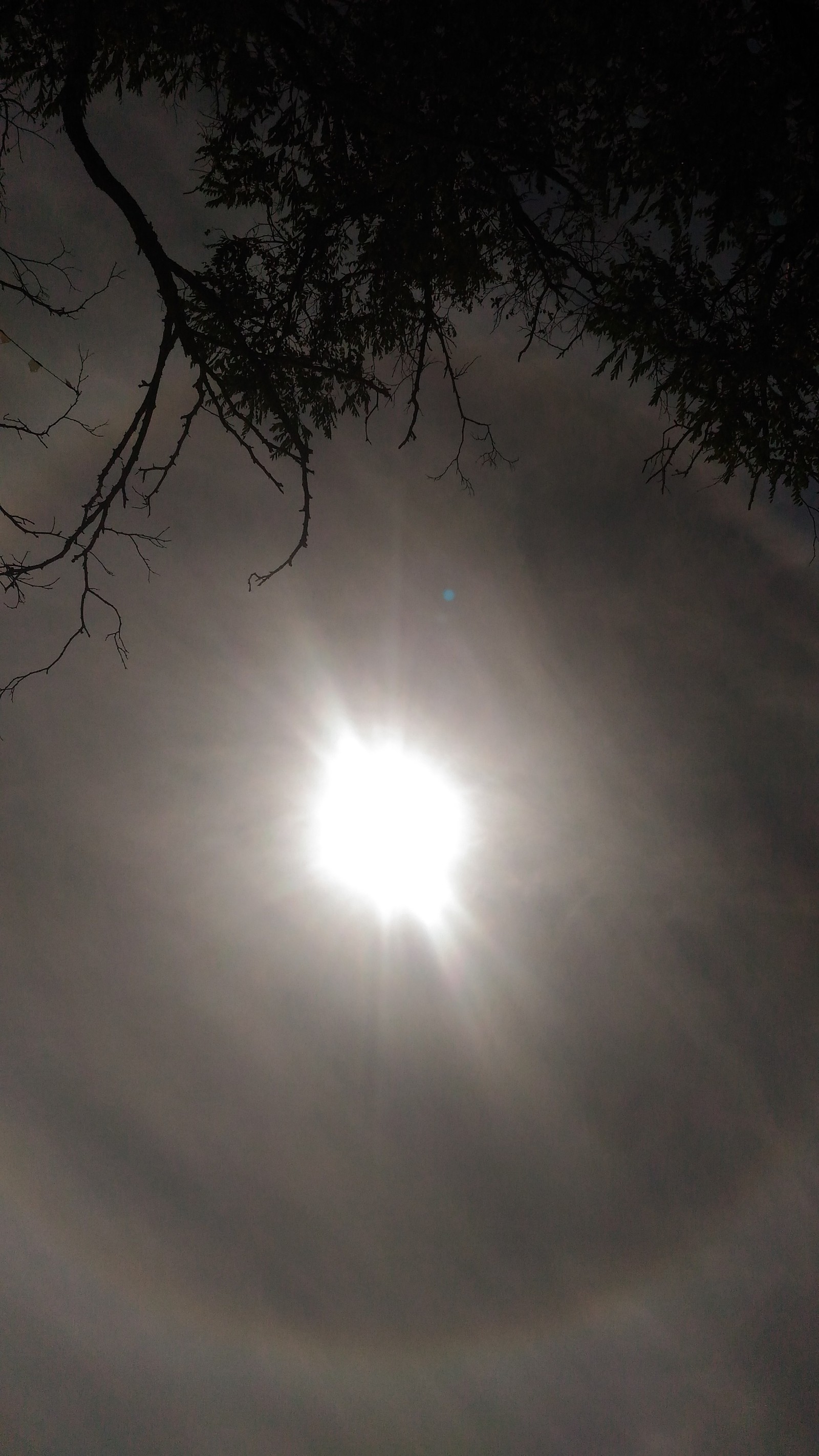 Strange phenomenon in the sky around the sun - Unclear, Phenomenon, Sky, The sun, Video, Longpost