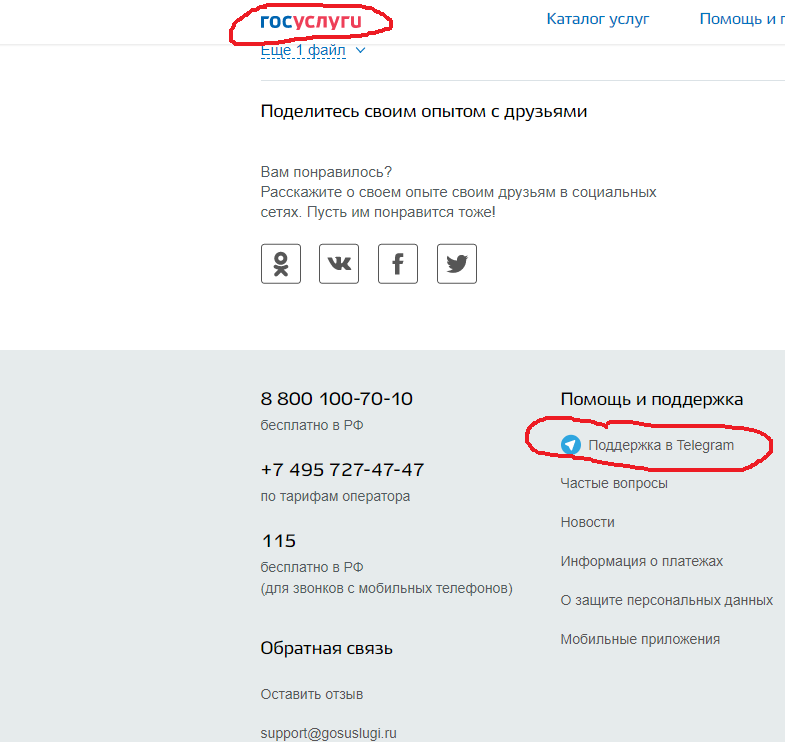 Double standards or how public services treat telegrams. (terrorists) - My, Screenshot, Telegram, Roskomnadzor