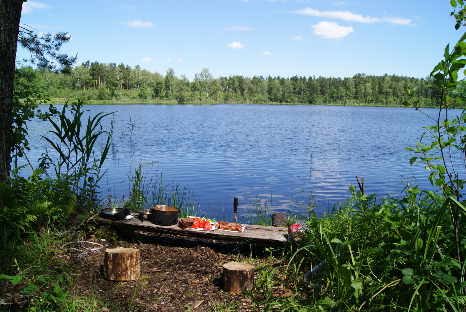 Soulful place. One of my stories... - My, Nature, Lake, PVD, Summer, Hike, Longpost