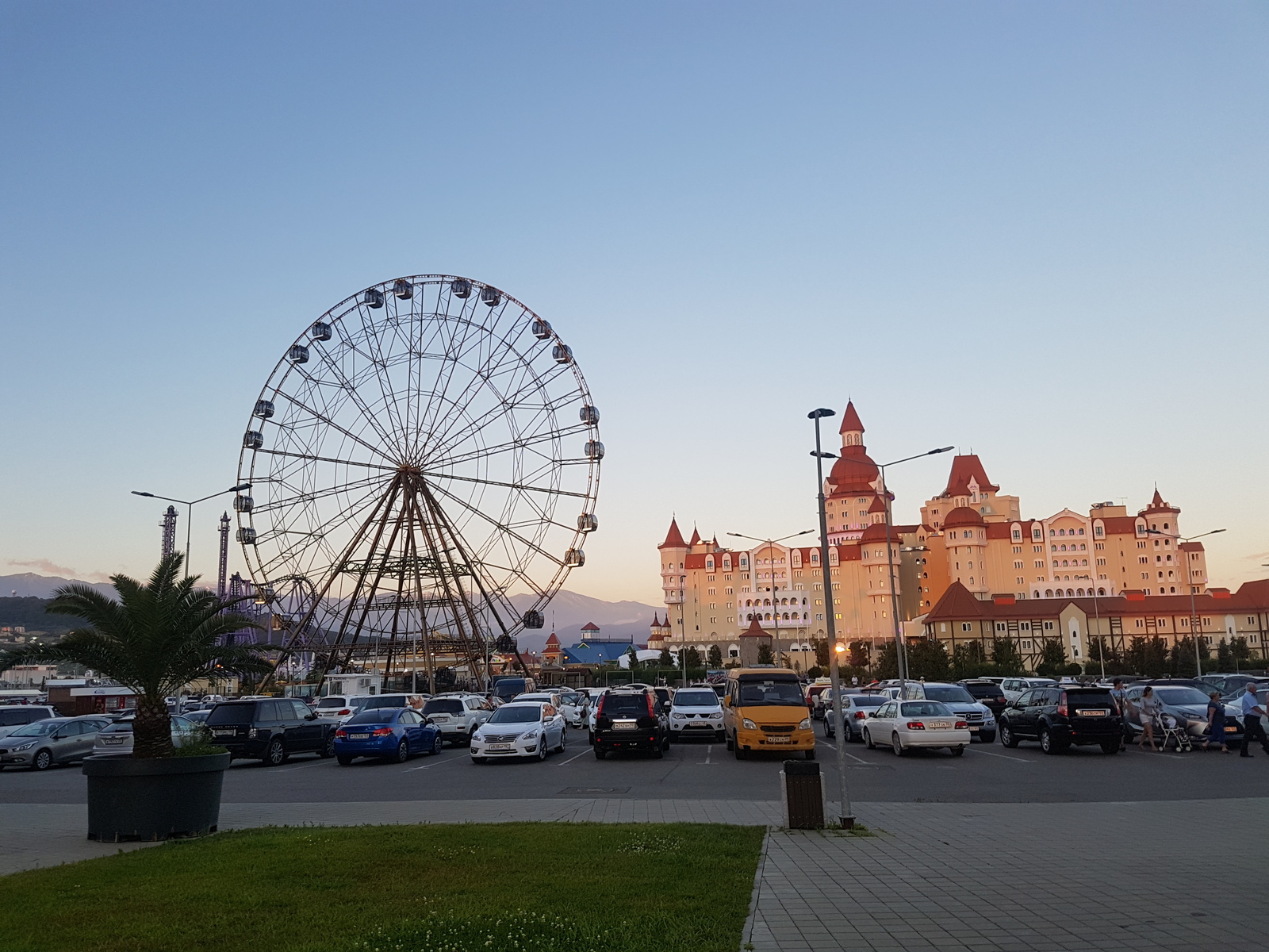 Wheel of BORRZENIA or in Sochi - My, Boiled, Sochi, Expensive