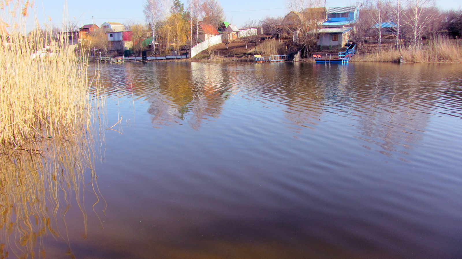 Nature)) - My, Nature, Spring, The photo, Moment, Ants, River