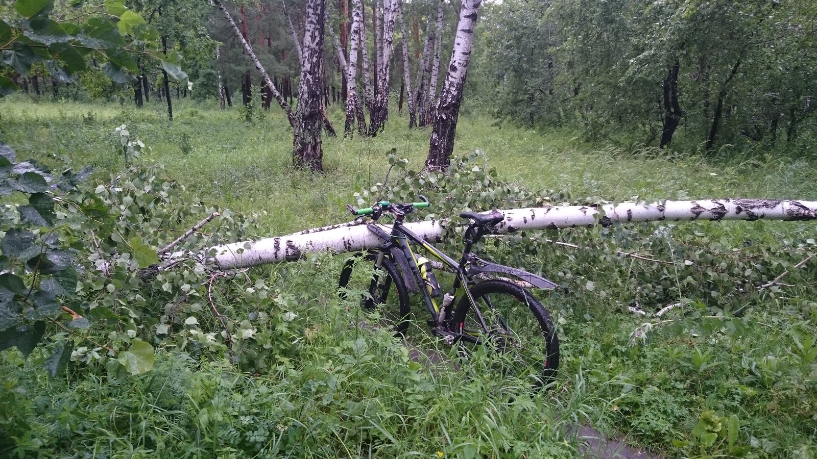 Obstacle bike to work - My, A bike, Ulyanovsk, Weather