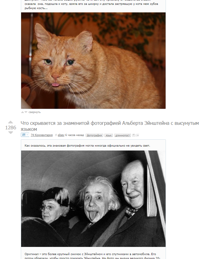Repeat - cat, Albert Einstein, Language