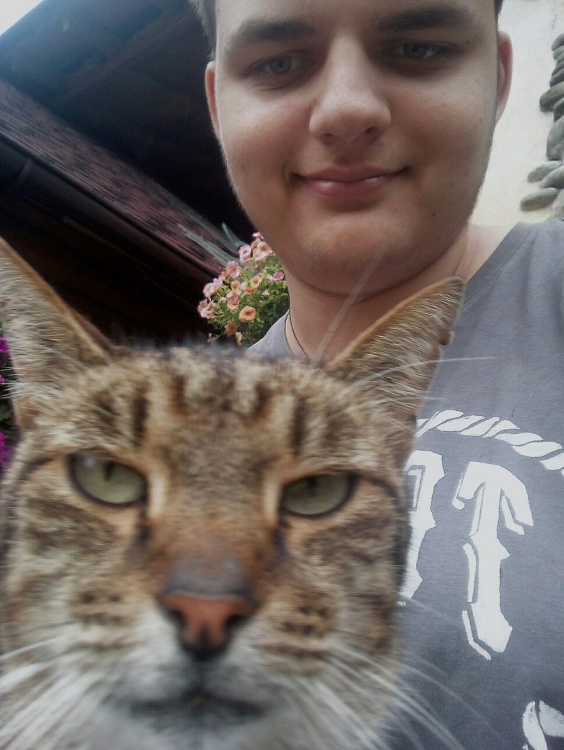 Come up with a description - My, cat, My, Animals, Selfie