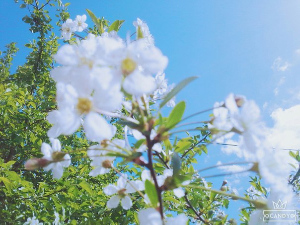 Nature of Zharkain - My, Derzhavinsk, Nature, Kazakhstan, Beginning photographer, Longpost