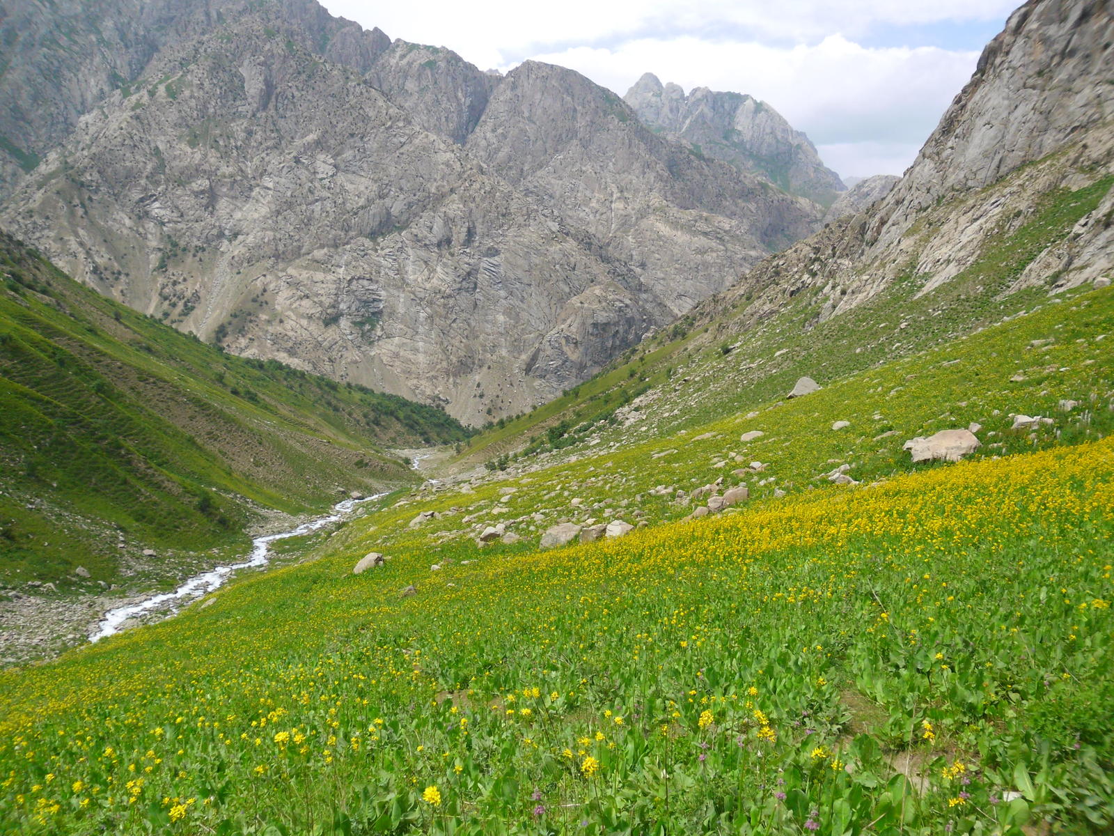 The mountains - The mountains, River