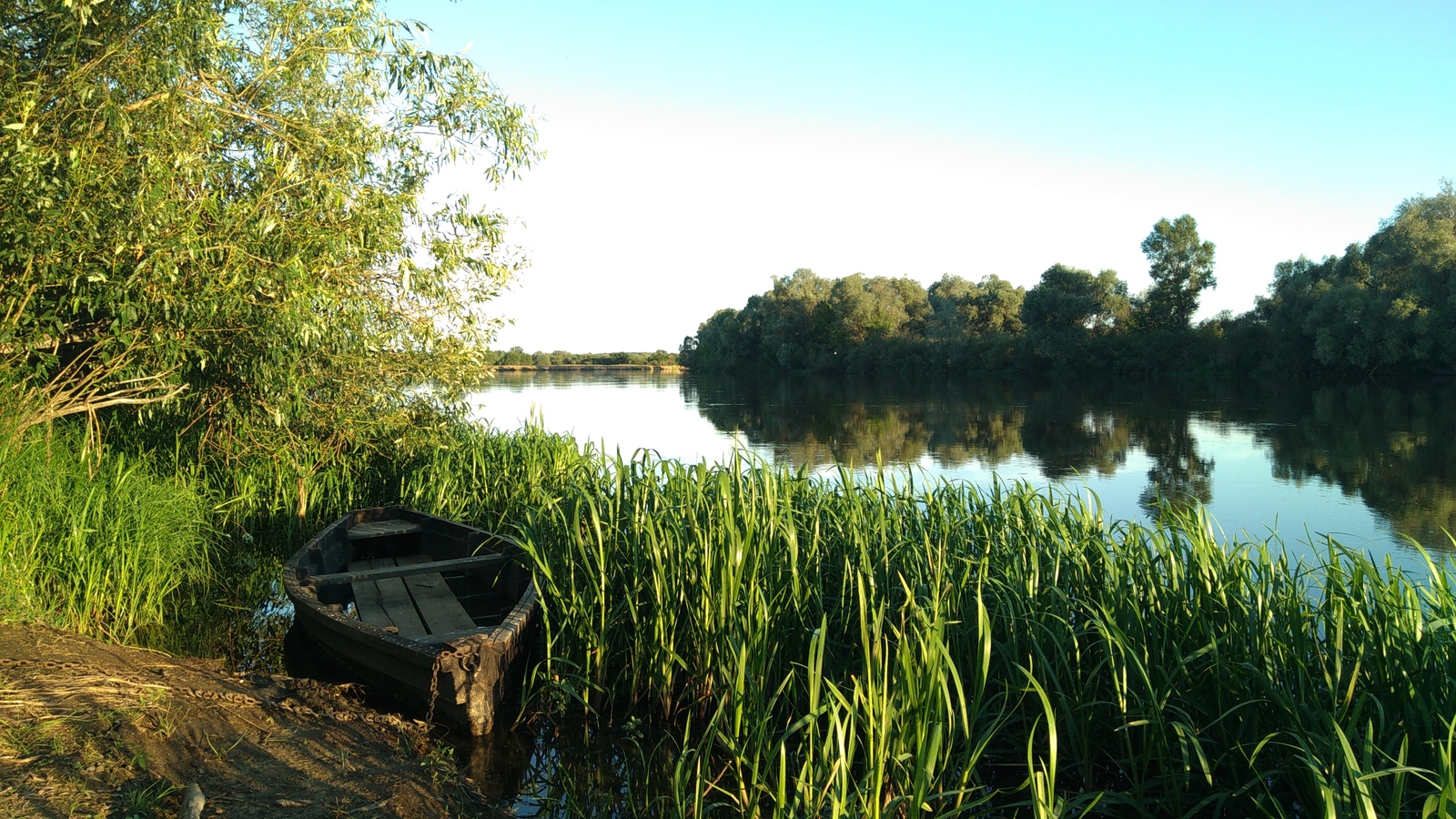 We are not well fed here either. - My, My, Nature, Relaxation, Republic of Belarus, Hunting lodge, , Longpost