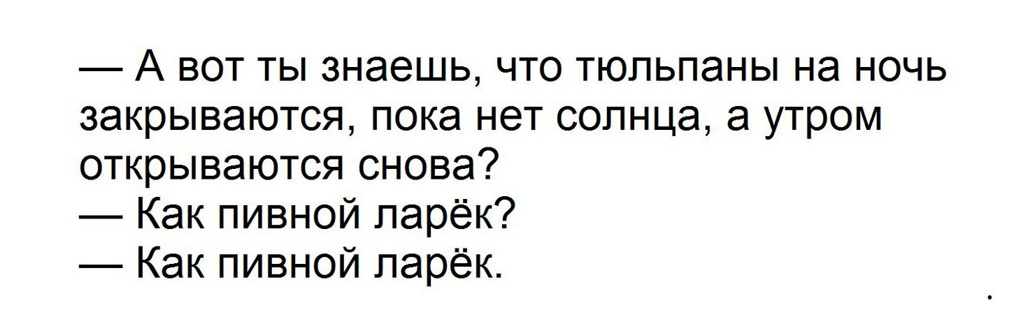 Закрывай пока. Как пивной ларек Мем. Как пивной ларек кот. Мем кот и пивной ларек. Тюльпаны на ночь закрываются как пивной ларек.