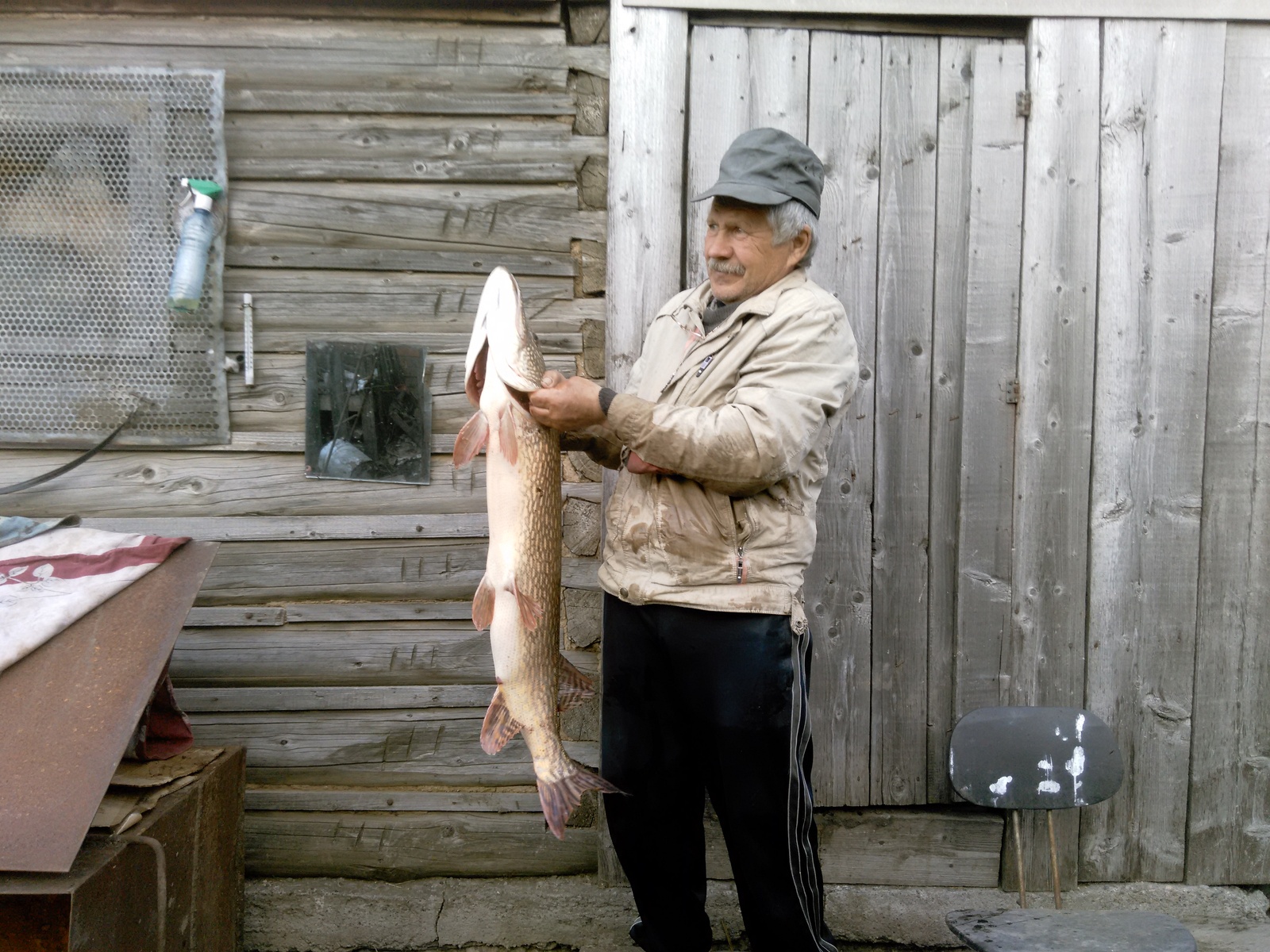 Dad caught last year - My, Pike, Fishing, Longpost