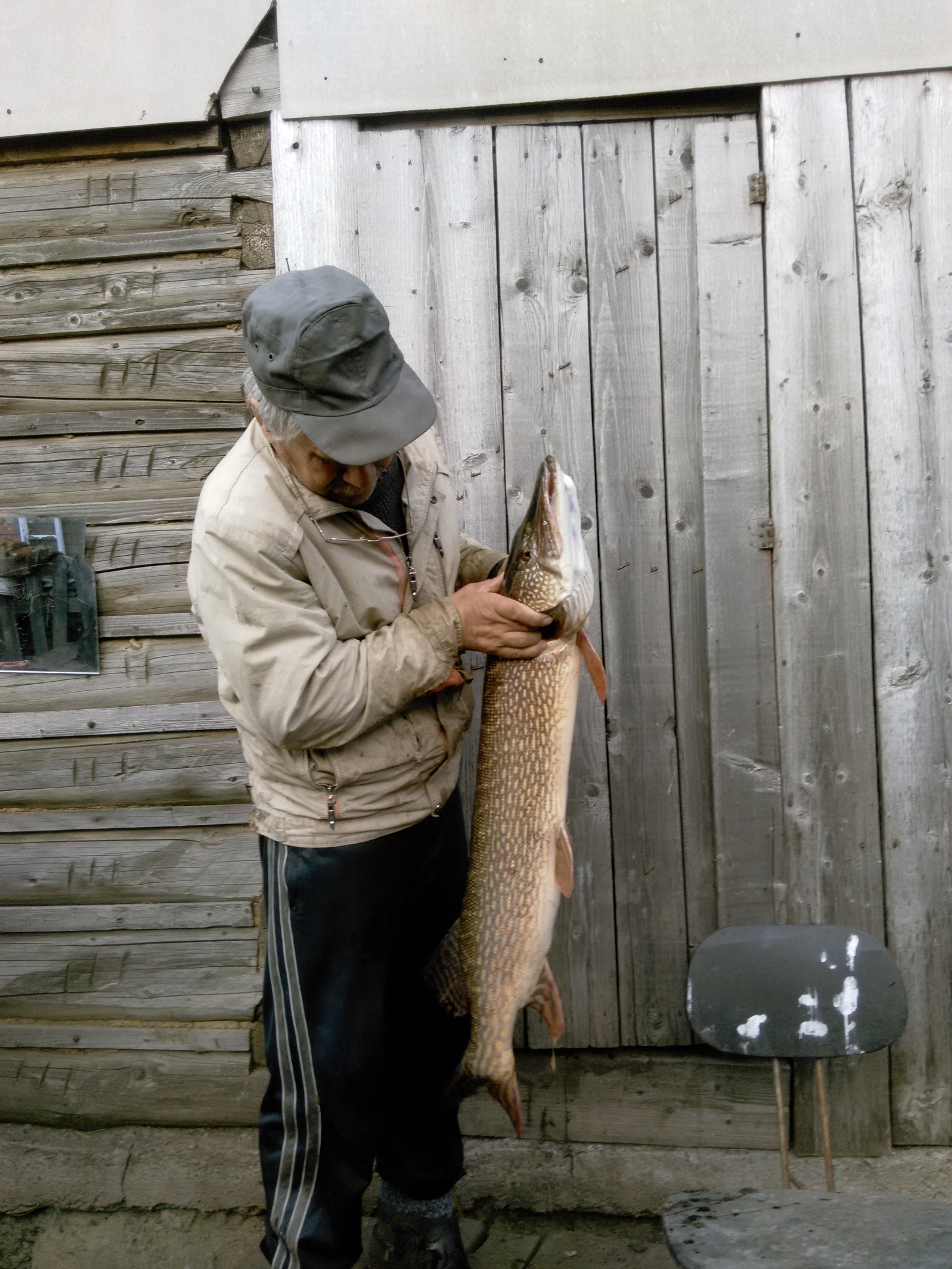 Dad caught last year - My, Pike, Fishing, Longpost