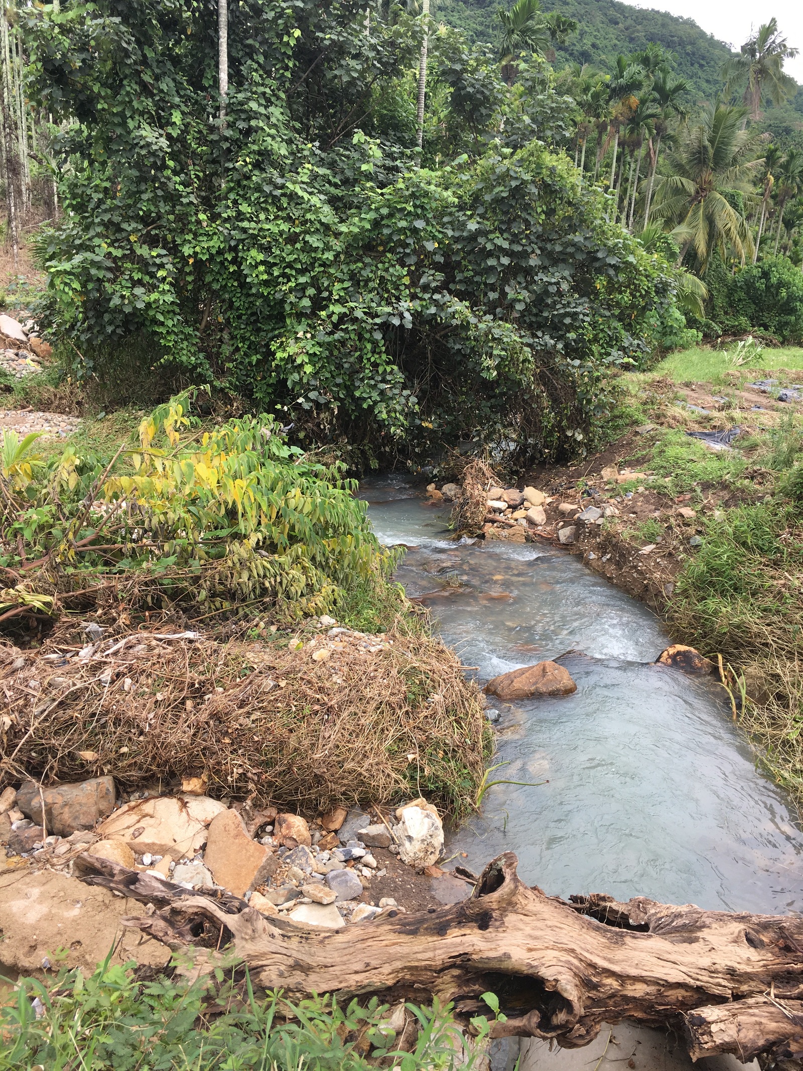 Looking for a waterfall Part one - My, My, Moto, Travels, China, Waterfall, Longpost