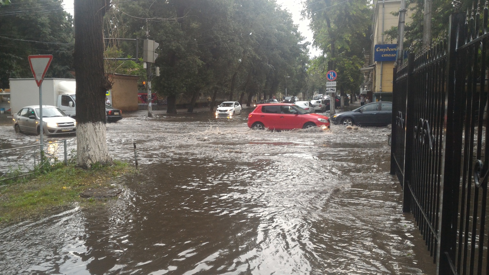 Купальный сезон - Моё, Воронеж, Наводнение, Водные процедуры