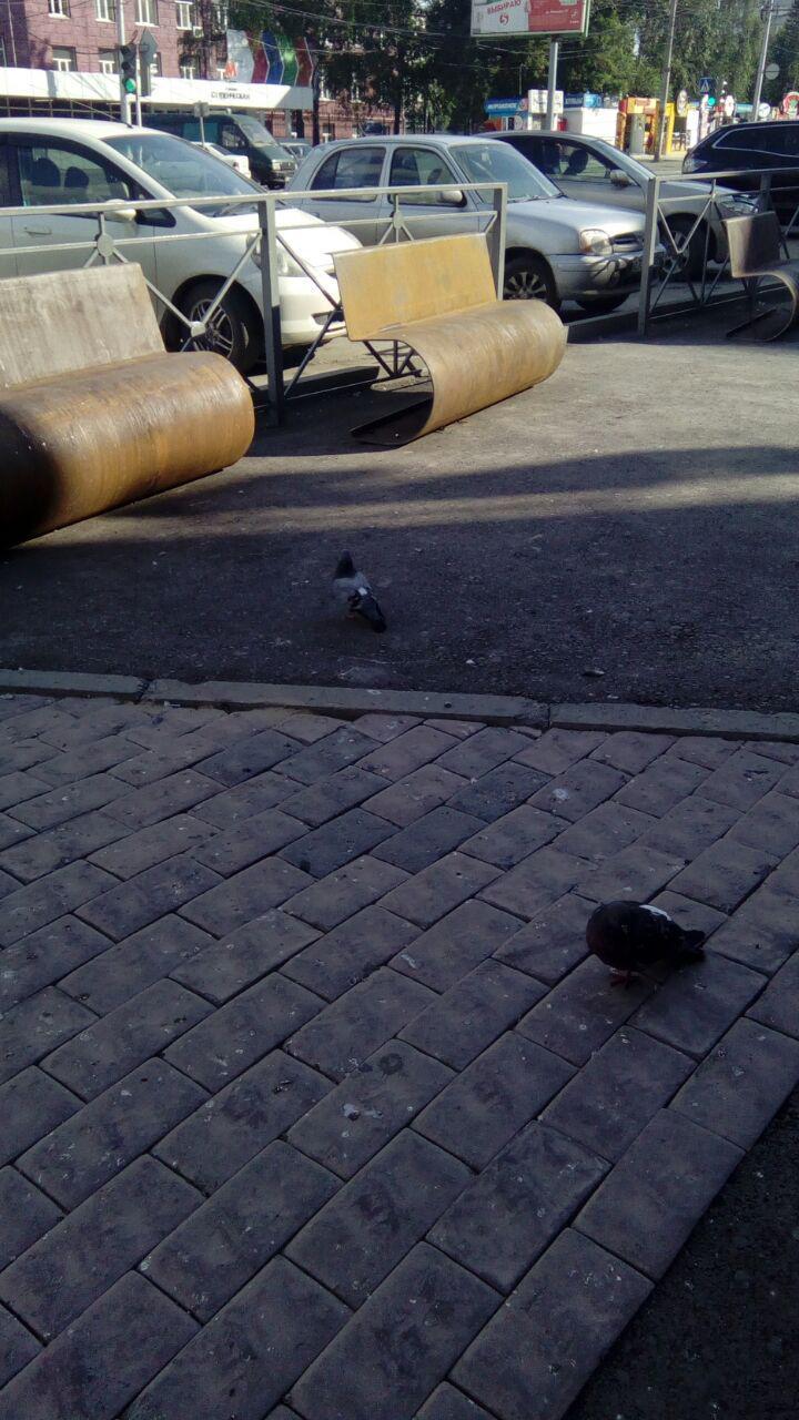 Severe benches of Novosibirsk - My, Novosibirsk, Beautification