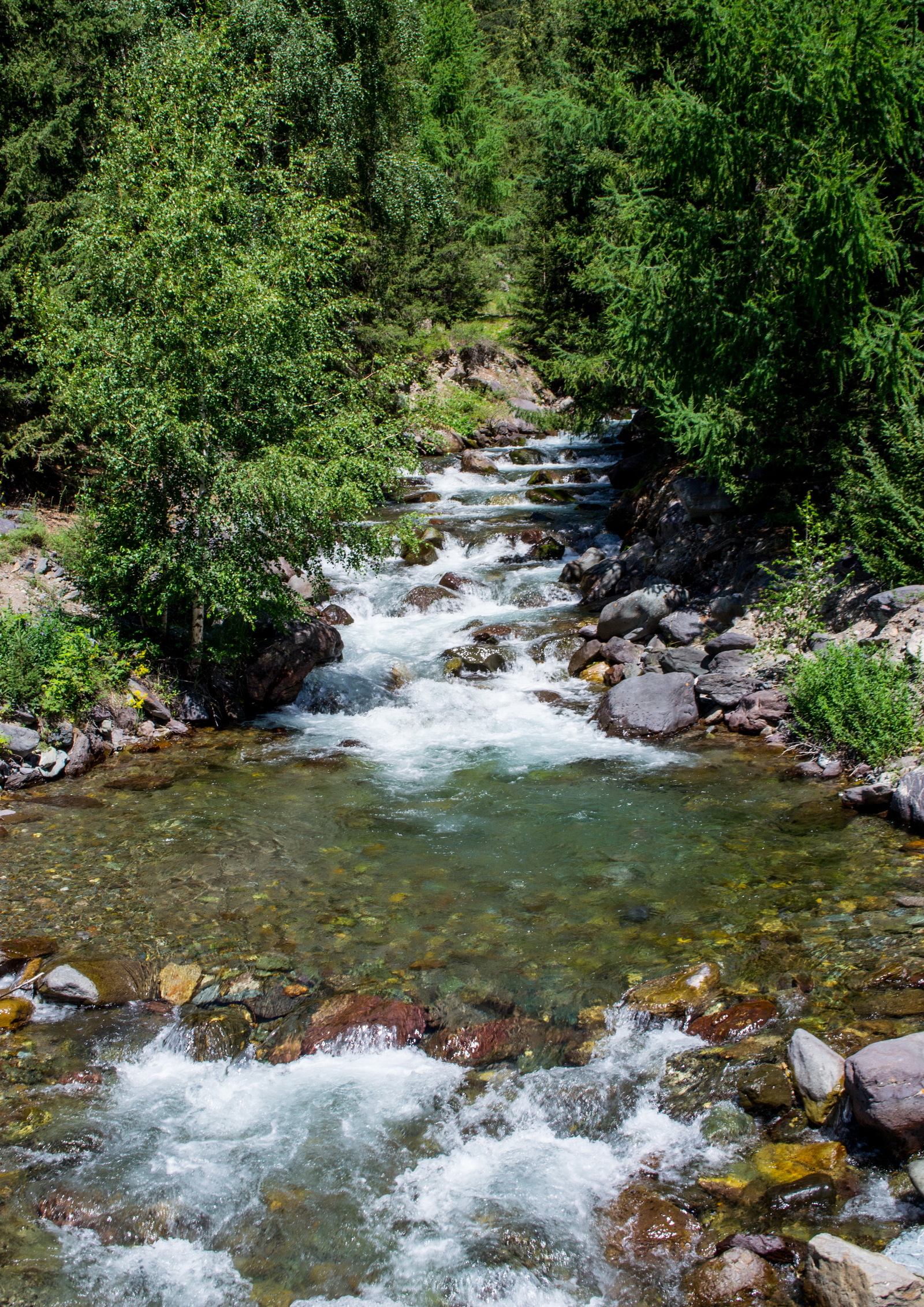 Mountain Altai. There is a road along the Chuya tract. - My, Mountain Altai, Chuisky tract, Mountain tourism, Chike Taman Pass, Seminsky Pass, The mountains, Altai Mountains, Longpost, Altai Republic