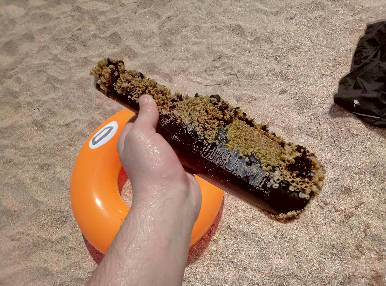 bottle in the sea - My, Bottle, Sea, Garbage, Coral, Trypophobia