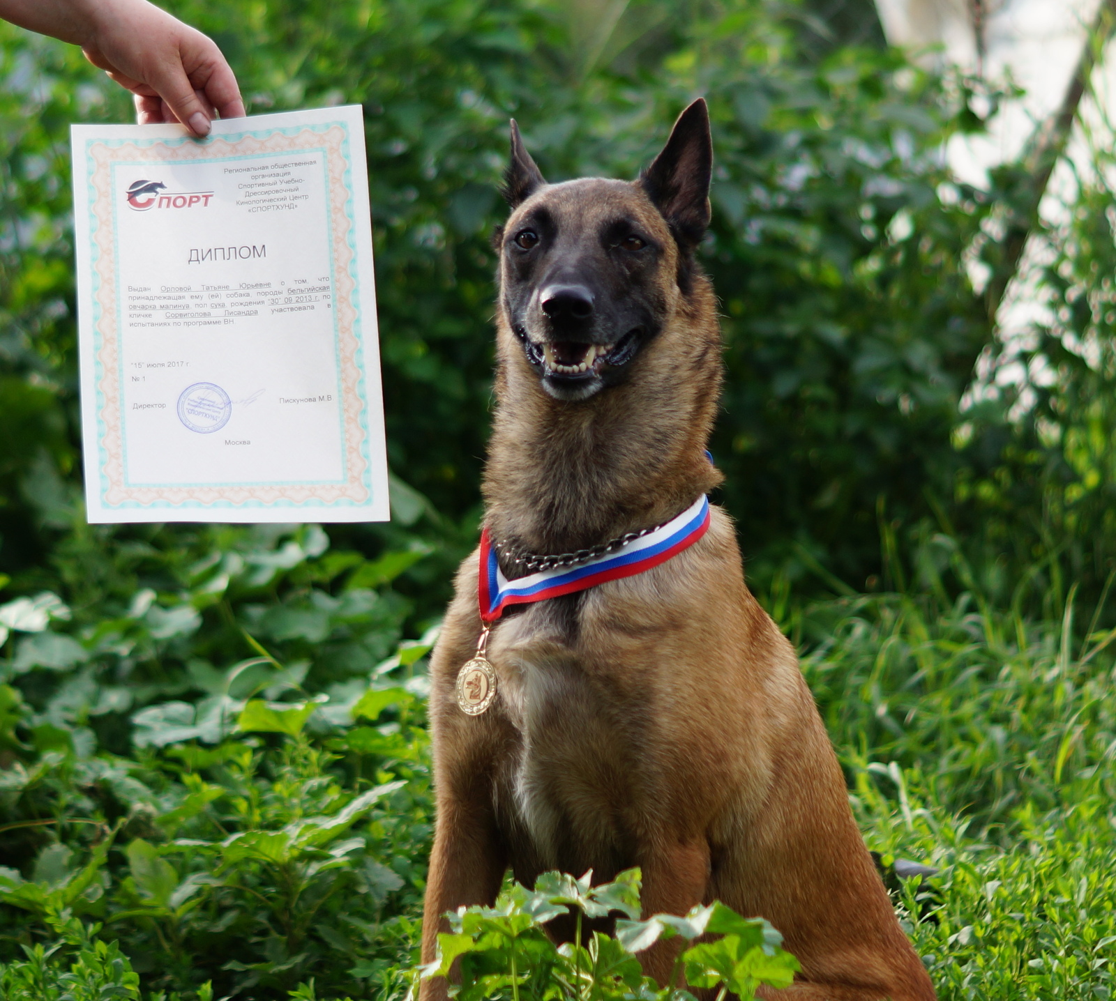 Delivery of VN - Dog, Malinois