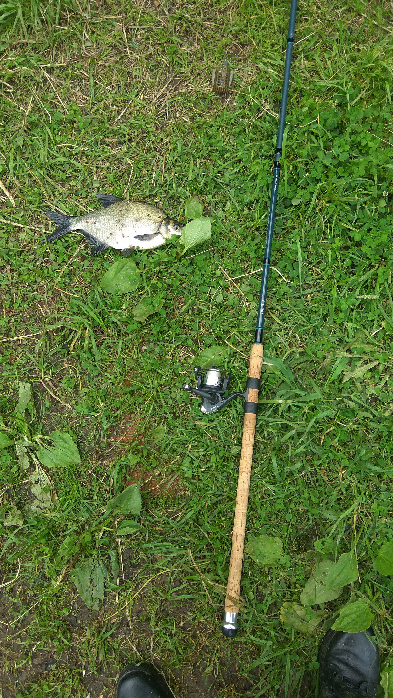 Weekend on the oxbow river Moscow. - My, Bream, Fishing, Longpost