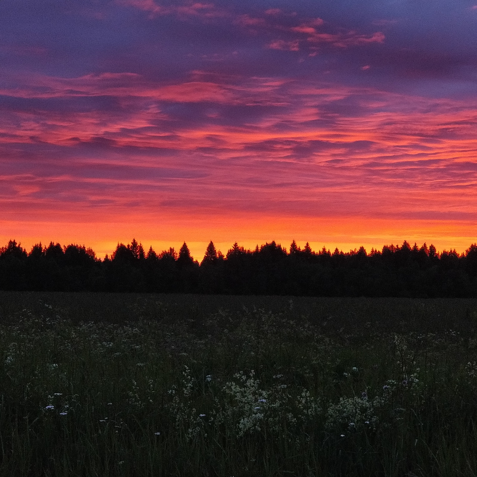 Алый закат | Пикабу