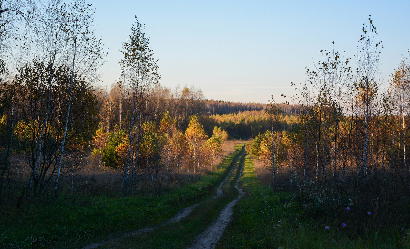 My random selection #2 - My, Nikon, , 18-55 kit, Landscape, A selection, Tractor, Plum, I want criticism, Longpost, Tag