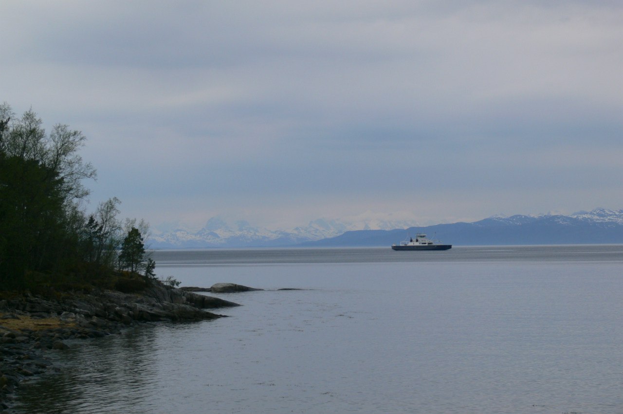 Northern Norway - My, Norway, The photo, Sea, The mountains, Reindeer, Longpost, , wildlife