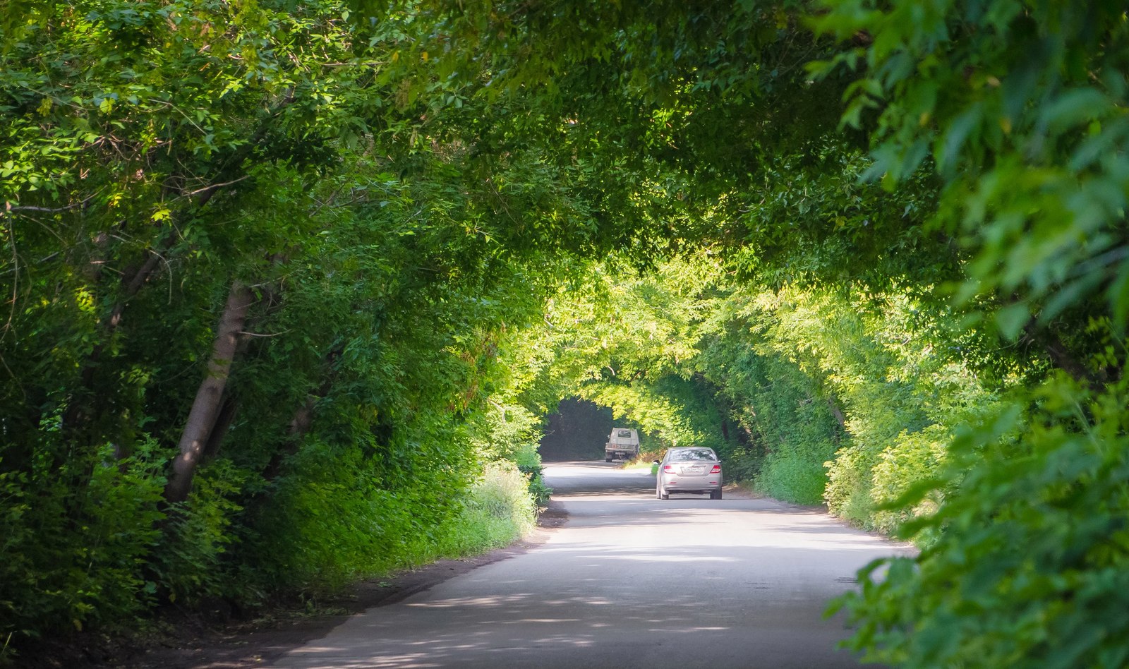 Green tunnel - Obges, Nature, beauty, Novosibirsk, Russia, beauty of nature, Tunnel, Tunnel