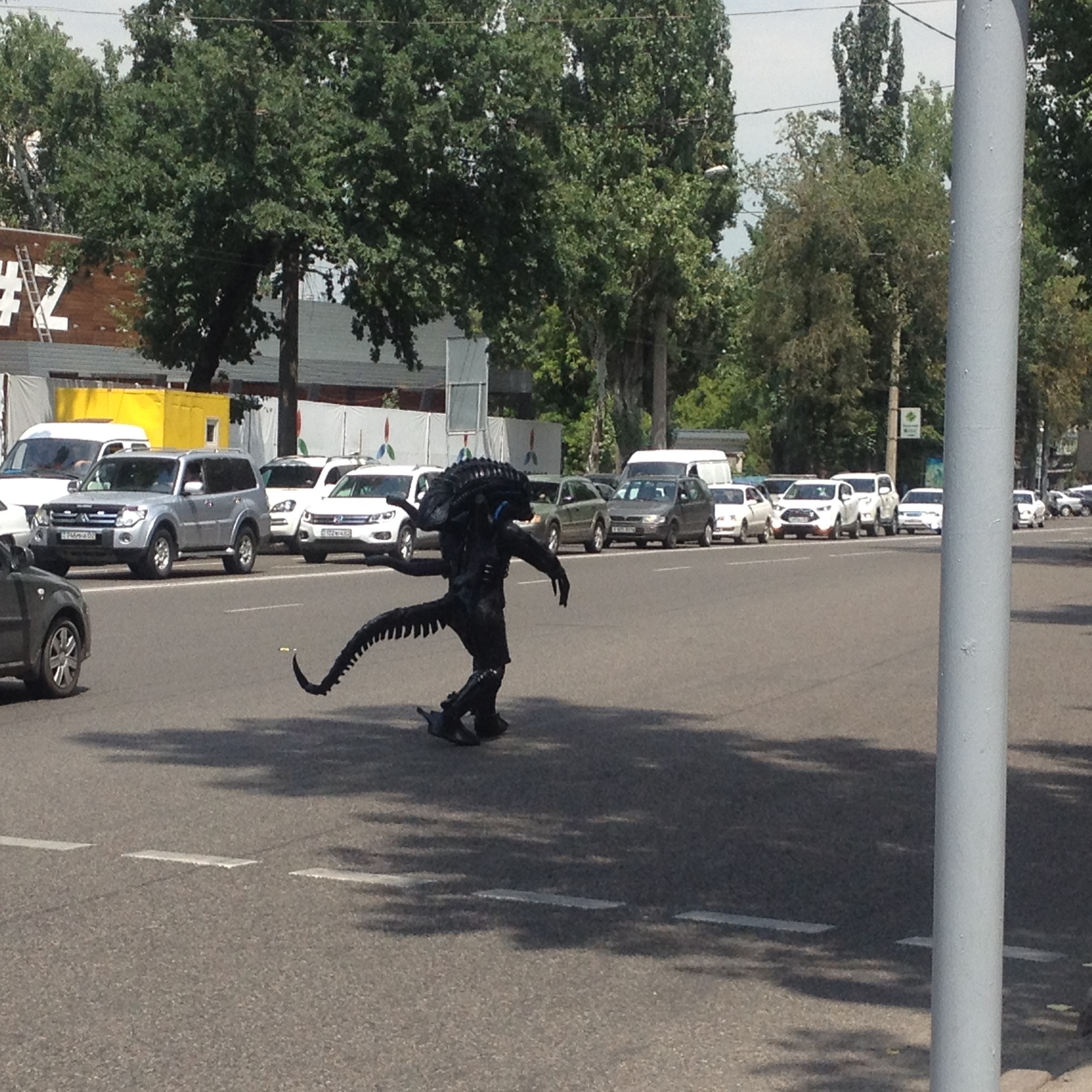 The most common pedestrian in Almaty - Stranger, Cosplay, Almaty