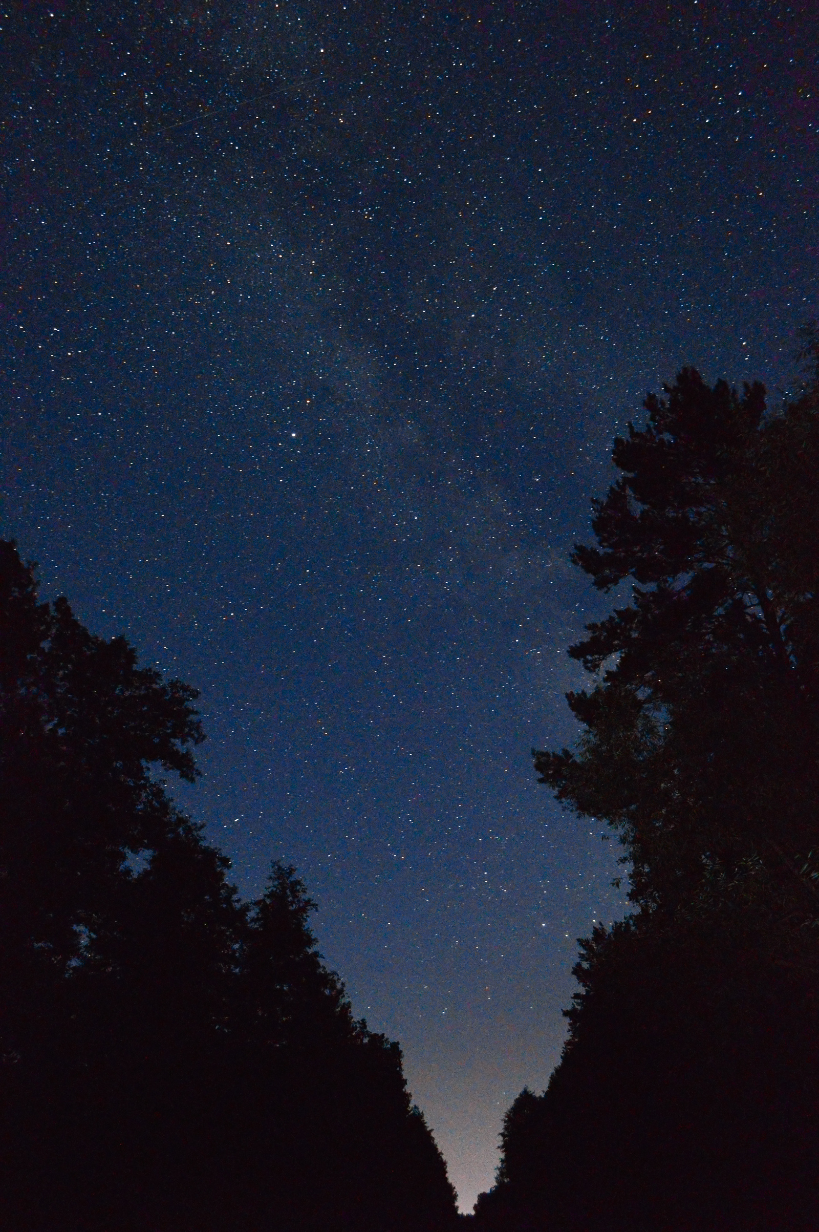 Night forest - My, Night, Milky Way, Astrophoto, Forest, Road