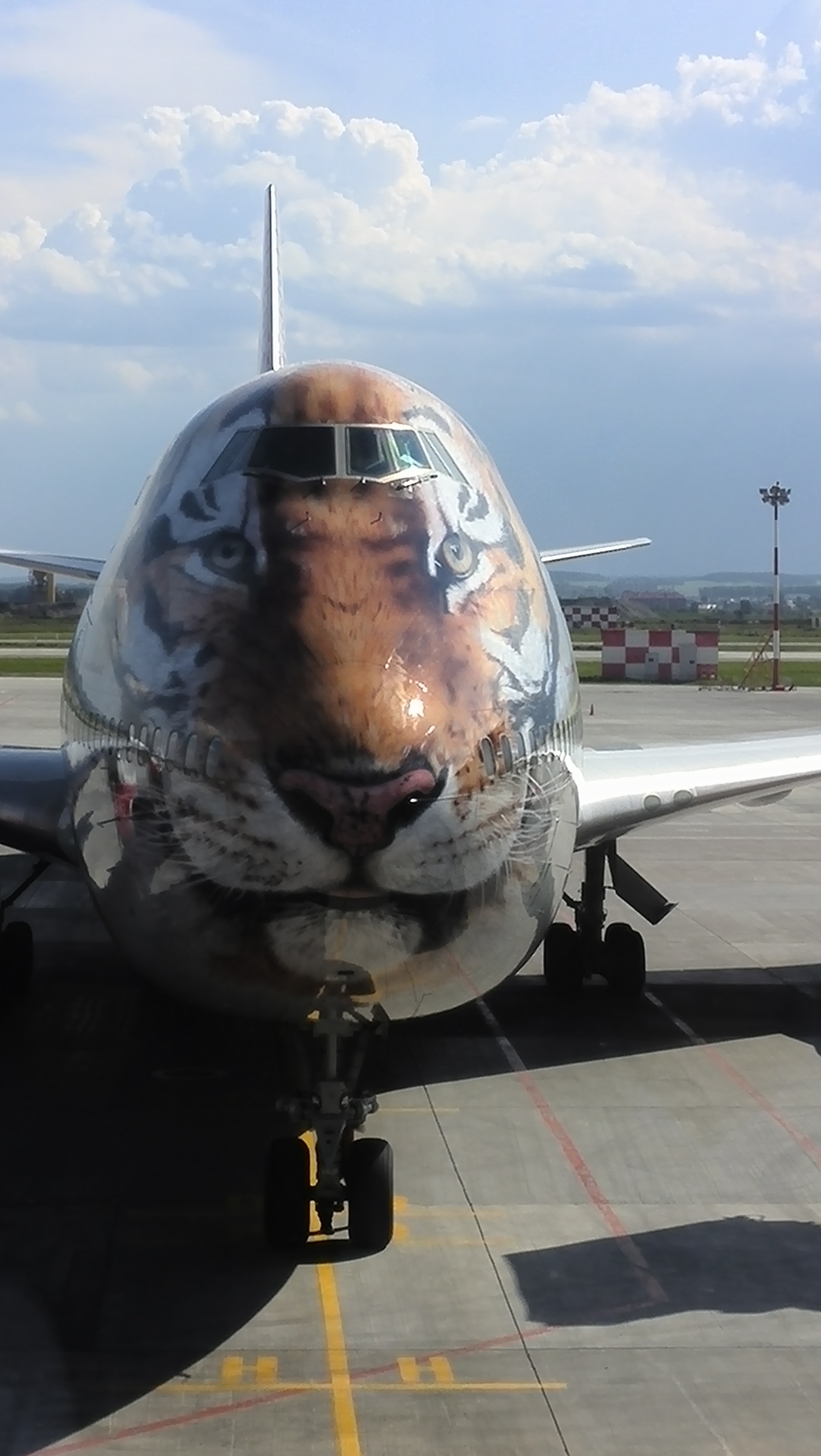 Incredibly cool plane - My, Airplane, Tiger, Airbrushing