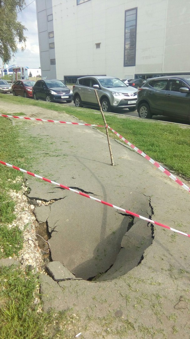 Это чудо! Из асфальта выросло дерево! - Асфальт, Дерево, Яма, Тамбов, Лайфхак, Чудо