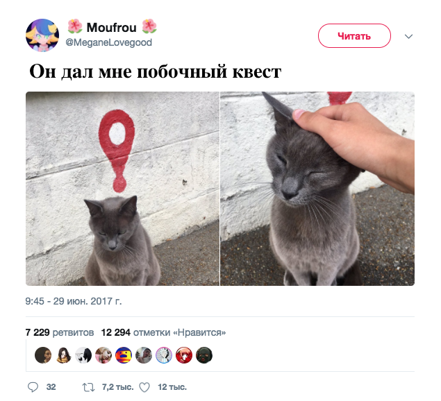 Хвостатый NPC - Квест, Кот, Twitter, Скриншот