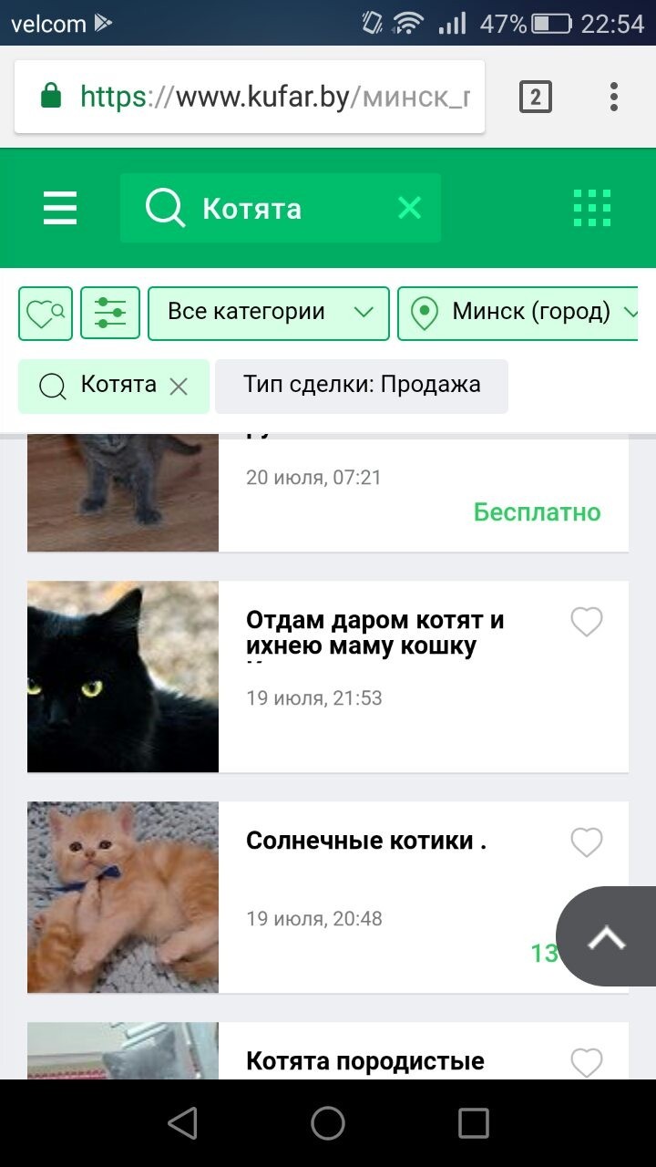 God, how it hurts! - My, Russian language, cat, Their, Tag