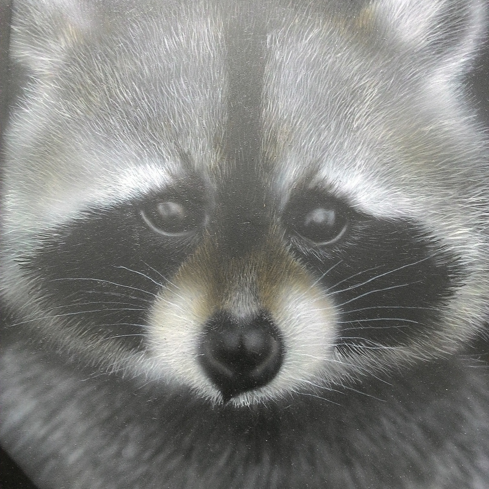 Airbrushing animals from a weak eagle to a fit raccoon - My, Airbrushing, Longpost, Animals, Hobby