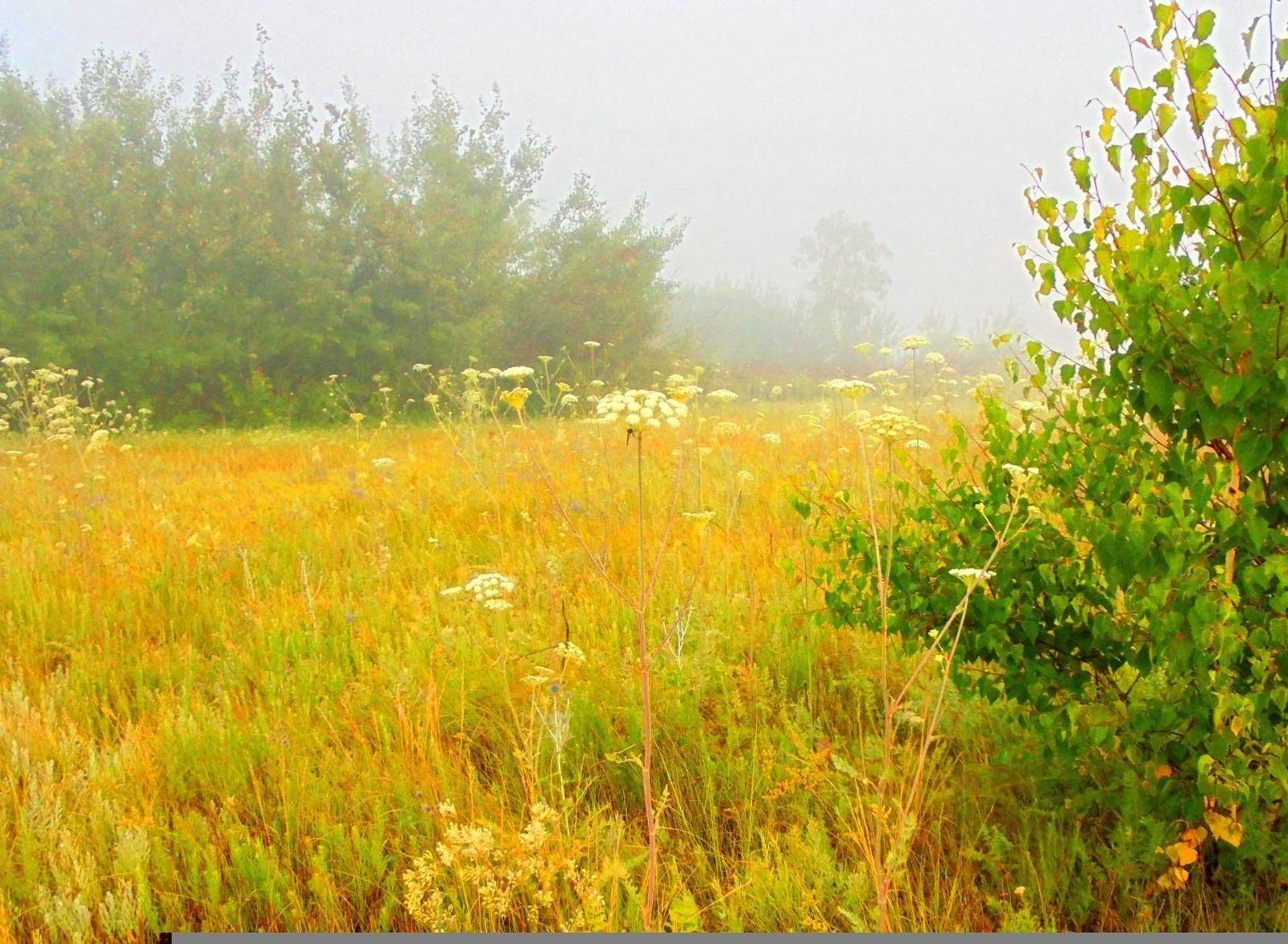 Fascinating natural boundary Zharkayyn. - My, Partially mine, , Derzhavinsk, Beginning photographer, Longpost