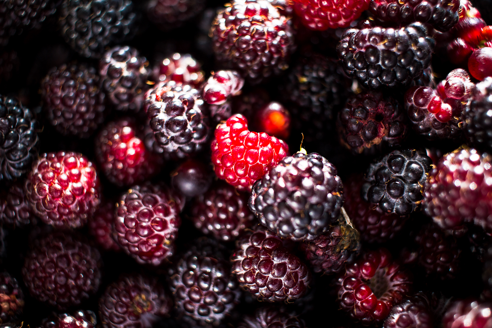 Blackberry :3 - My, Blackberry, Berries, Summer, Raspberries, Dacha, Happiness