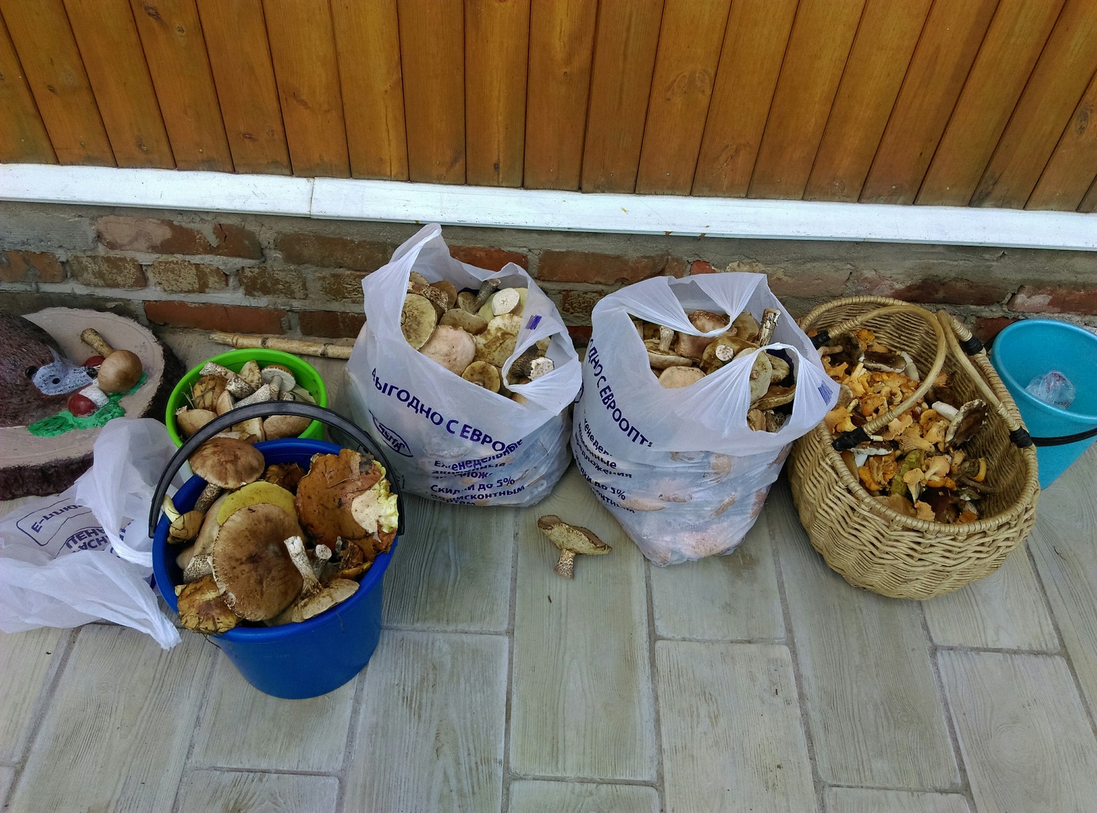 Silent hunting with full buckets - My, My, Camping, Longpost, Mushrooms, Mushroom season